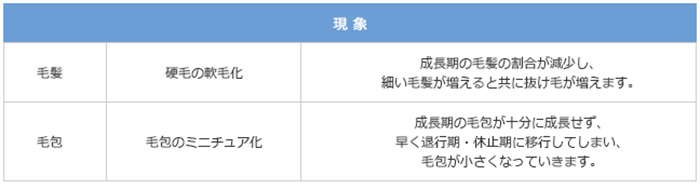 壮年性脱毛症の病理